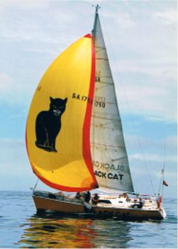Didi 38 radius chine plywood boat plans